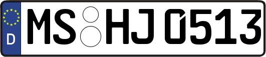 MS-HJ0513