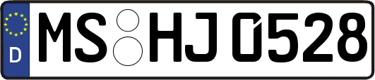 MS-HJ0528