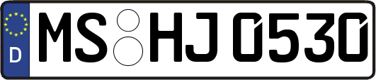 MS-HJ0530
