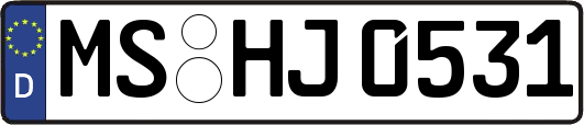 MS-HJ0531