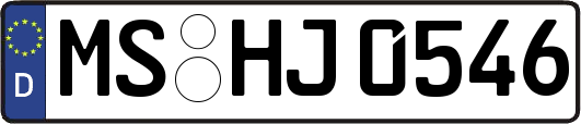 MS-HJ0546