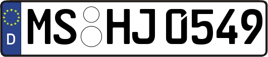 MS-HJ0549
