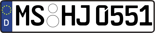 MS-HJ0551