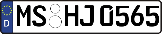 MS-HJ0565