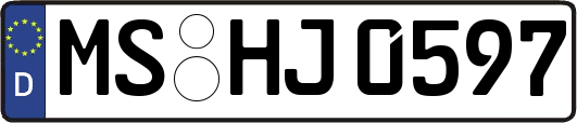 MS-HJ0597