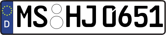 MS-HJ0651