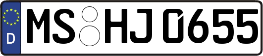 MS-HJ0655