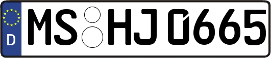 MS-HJ0665