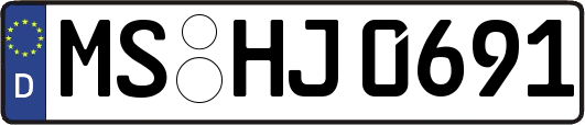 MS-HJ0691