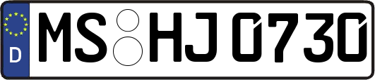 MS-HJ0730