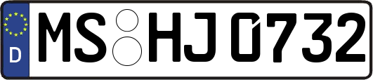 MS-HJ0732