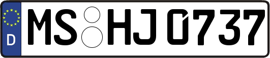 MS-HJ0737
