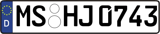 MS-HJ0743