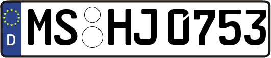 MS-HJ0753