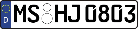 MS-HJ0803