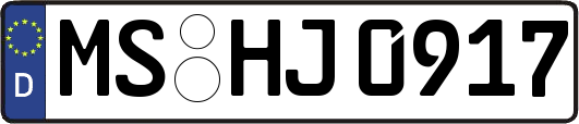MS-HJ0917