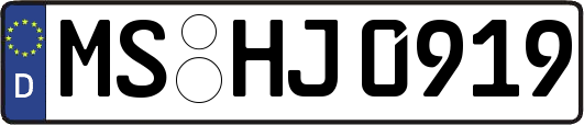 MS-HJ0919