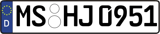 MS-HJ0951