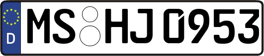 MS-HJ0953