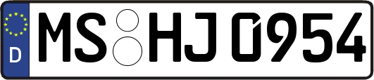 MS-HJ0954