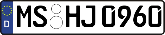 MS-HJ0960