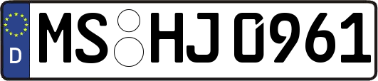 MS-HJ0961
