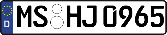 MS-HJ0965