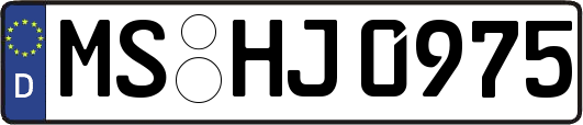 MS-HJ0975
