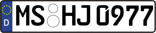 MS-HJ0977
