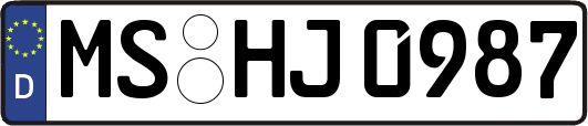 MS-HJ0987