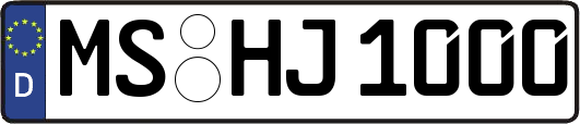 MS-HJ1000