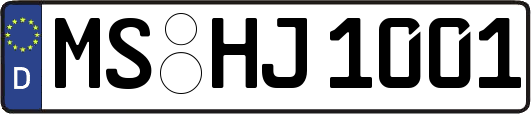 MS-HJ1001