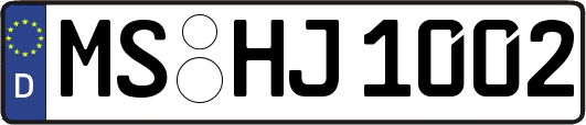 MS-HJ1002