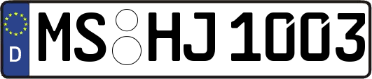MS-HJ1003
