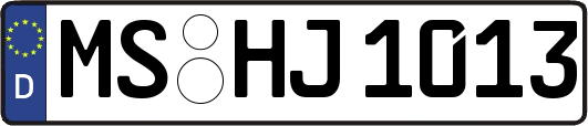 MS-HJ1013