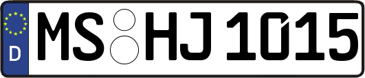 MS-HJ1015