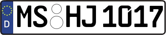 MS-HJ1017