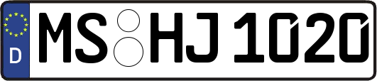 MS-HJ1020