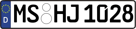 MS-HJ1028