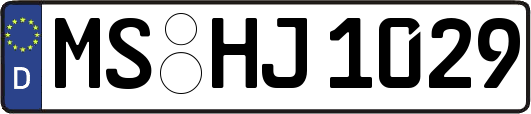 MS-HJ1029