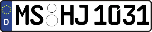 MS-HJ1031