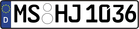 MS-HJ1036
