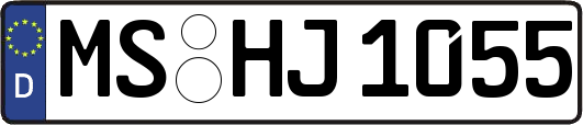 MS-HJ1055
