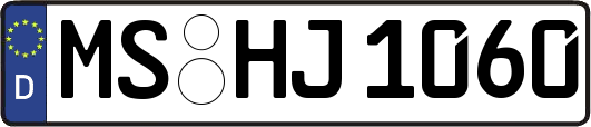 MS-HJ1060