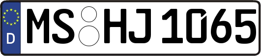 MS-HJ1065