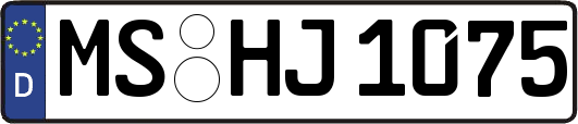 MS-HJ1075
