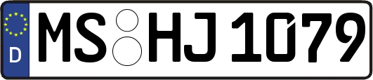 MS-HJ1079