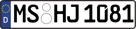 MS-HJ1081