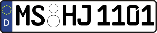MS-HJ1101