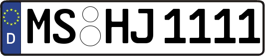 MS-HJ1111